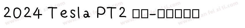 2024 Tesla PT2 留念字体转换